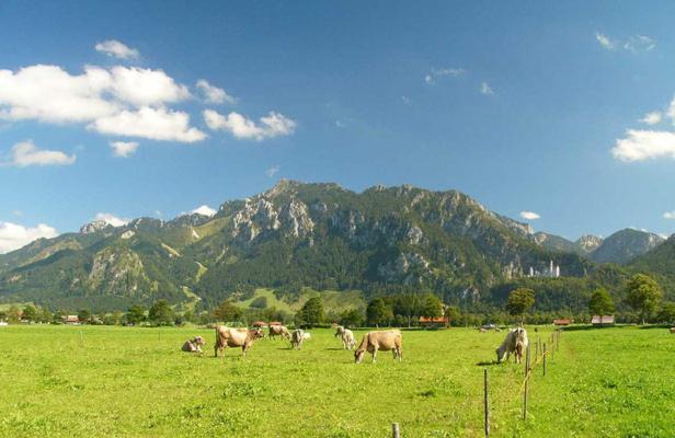 Jaegerhof Und Jaegerstadel Schwangau Zewnętrze zdjęcie